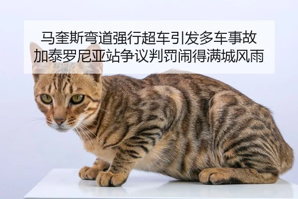 ma-kui-si-wan-dao-qiang-xing-chao-che-yin-fa-duo-che-shi-gu-jia-tai-luo-ni-ya-zhan-zheng-yi-pan-fa-nao-de-man-cheng-2-522.jpg