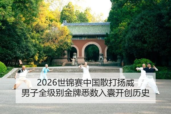 shi-jin-sai-zhong-guo-san-da-yang-wei-nan-zi-quan-ji-bie-jin-pai-xi-shu-ru-nang-kai-chuang-li-shi-2-805.jpg